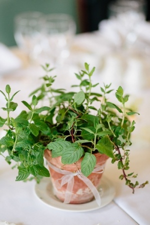 Wedding Centerpieces