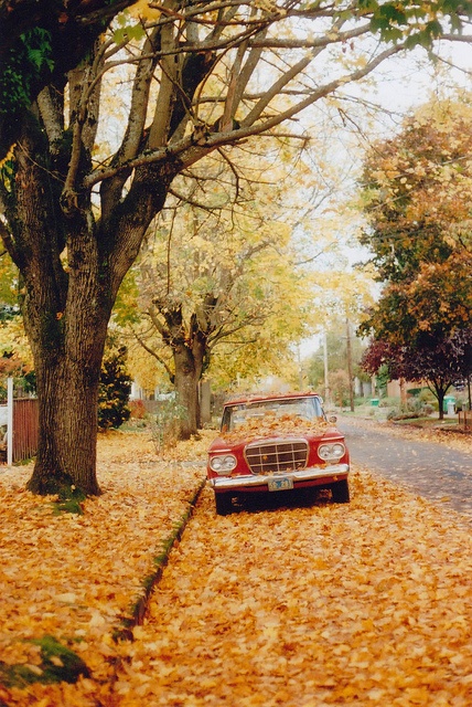 Car Parked on Road